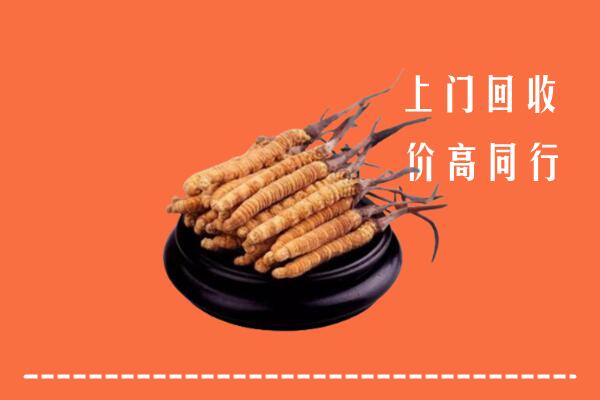 高价求购：叶城县回收散虫草