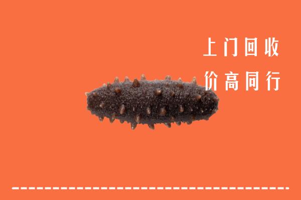 高价求购：叶城县回收海参