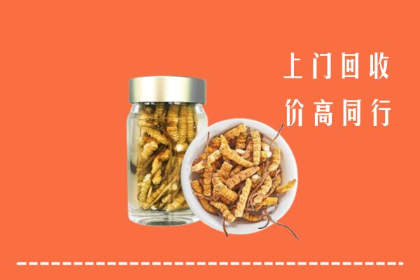叶城县回收冬虫夏草
