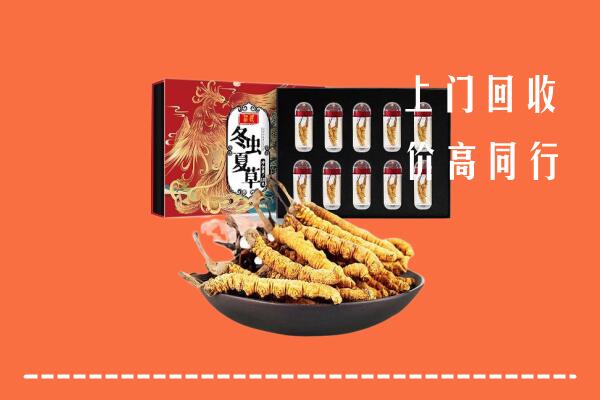叶城县回收虫草